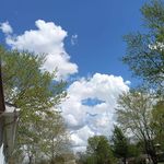 Donna Strawbridge - @donna51pa - Instagram