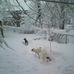 Donna Kelley - Facebook