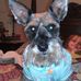 Donna Springfield - Facebook