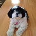 Donna Fisher Strom - Facebook