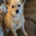 Donna Strom - Facebook
