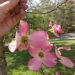 Donna Struble - @donna.struble.75 - Instagram