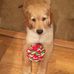 Donna Struble - Facebook
