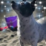 Donna Strunk - @gmad45 - Instagram