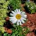 Donna Holcomb Struthers - Facebook
