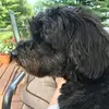 Donna Struthers - @donna.struthers - TikTok
