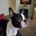 Donna Finn Stuckey - Facebook