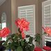 Donna Stucker - Facebook