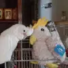 Donna Stuckert - @donna.stuckert - TikTok