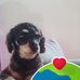 Tina Stuckert - Facebook