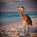 Donna Stuckey Hassebrock - @hassebrockdonna - Instagram