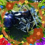 Donna Stuckey McCool - @donna.j.mccool - Instagram