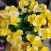 Donna Stucky - Facebook