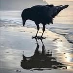 Donna Studley - @donnastudley1 - Instagram