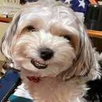 Donna Studstill Spurlock - @dlspurlock66 - Instagram