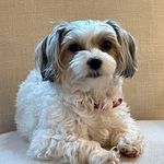 Donna Studstill Spurlock - @donnastudstill - Instagram