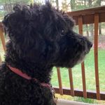Donna Stum Watts - @wattsdj - Instagram