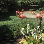 Donna Suber - @donnasuber - Instagram