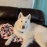 Donna Suggs Mullins - @donnasuggsmullins - Instagram
