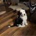 Donna Sult - Facebook