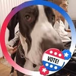 Donna Summerlin - @summerlin308 - Instagram