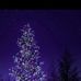 Donna Surber - Facebook