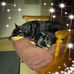 Henry Donna Surface - Facebook