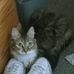 Donna M Surles - Facebook