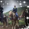 donnaswanton - @donnaswanton - TikTok