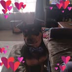 Donna Sweat - Facebook