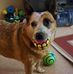 Donna Sweitz - Facebook