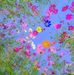 Donna Sweitzer Brady - Facebook