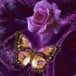 Donna Swindle - @laughingwinddancer - Instagram