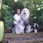 Donna Leigh Olswing - @donnaswing123 - Instagram