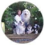 Donna Leigh oslwing - @donnaswing123_ - Instagram