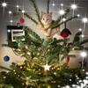 Donna Swinney259 - @donnaswinney - TikTok