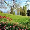 Donna Sylvester968 - @donnasylvester968 - TikTok