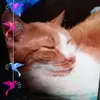 Donna Sylvester - @donna.sylvester - TikTok