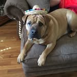 Donna Sylvester Conners - @sylvesterconners - Instagram