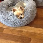 Donna Symonds - @donnapsymonds - Instagram