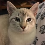 Donna Taft - @taft2003 - Instagram