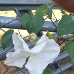 Donna Taft - @donna.taft.395 - Instagram