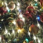 Donna Goins Talbert - @donnatalbert - Instagram