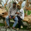 pakde kuwat - @donitanabe - TikTok