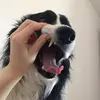 sara.stermsek - @donnatango - TikTok