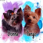 TANGO DONNA - @guarderia_canina_tango_donna - Instagram