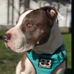 Don Nataño aka Nattis aka Nataratti - @don_natano - Instagram