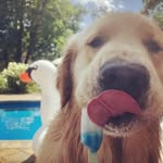 Donna Tanzi - @darlarella - Instagram