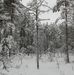Tauno Turpeinen - Facebook