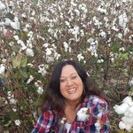 Donna Tarver - @donna.perkins.71 - Instagram